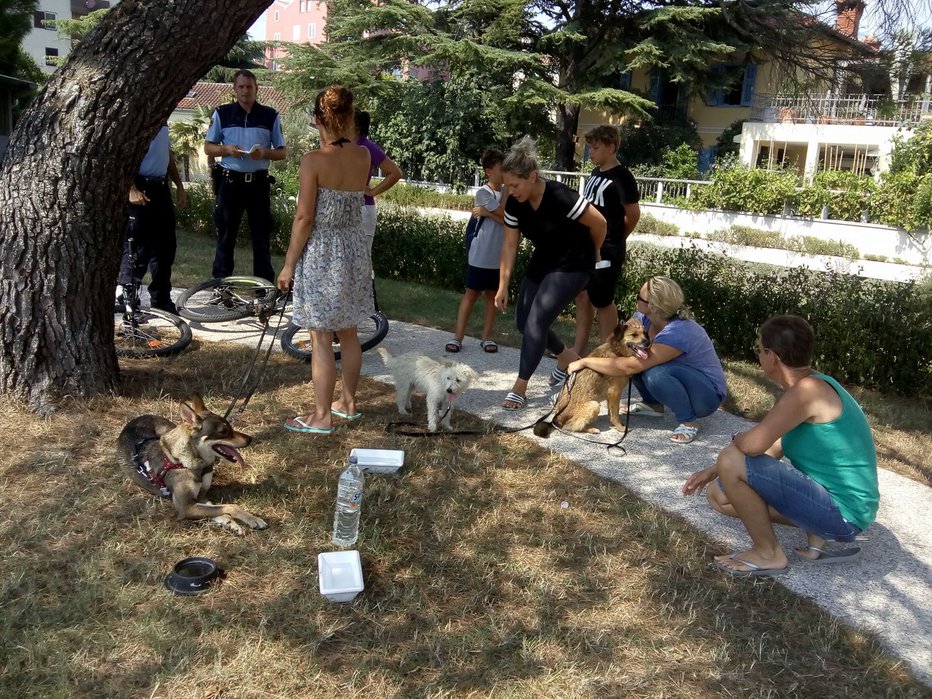 Fotografija: Ušli so gotovi smrti zaradi treh rešiteljic, ki so se hitro odzvale. FOTO: Milan Petrovič