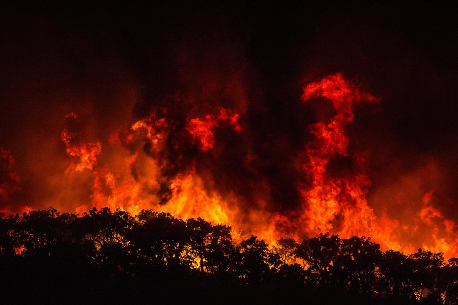 Fotografija: Požar še ni pod nadzorom. FOTO: Javier Fergo, AP Pictures