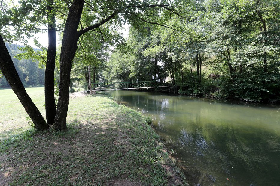 Fotografija: Deklico je takoj po padcu v potok rešil občan. FOTO: Dejan Javornik