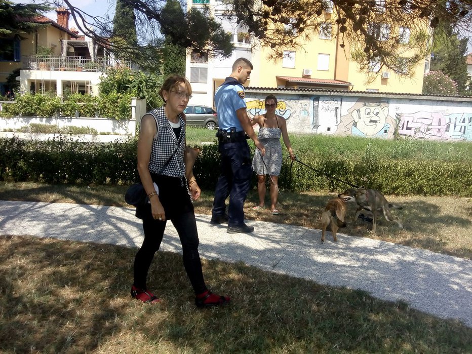 Fotografija: Domačini so imeli Švicarke dovolj že pred dnevi, zdaj so ukrepali tudi pristojni. FOTO: Milan Petrovič