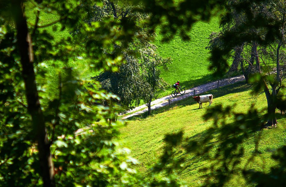 Fotografija: Poznate kotiček, ki bi si zaslužil večjo prepoznavnost? FOTO: Matej Mejovšek