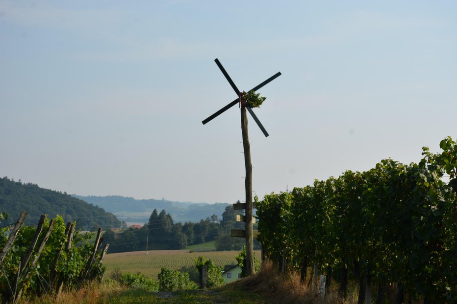 Fotografija: Klopotec že stoji in odganja ptiče, da ne bodo (po)zobali grozdja. FOTO: Oste Bakal