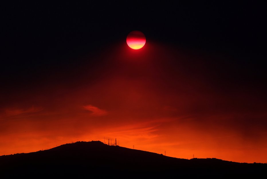 Fotografija: Požar na Eviji. FOTO: Yannis Behrakis, Reuters