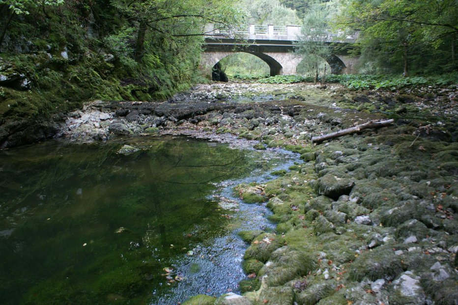 Fotografija: Divje jezero in Jezernico so že leta 1967 zavarovali kot naravni spomenik. Foto: Damijan Bogataj