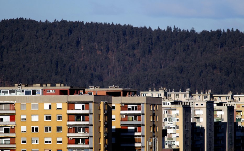 Fotografija: Simbolična fotografija. FOTO: Roman Šipić, Delo