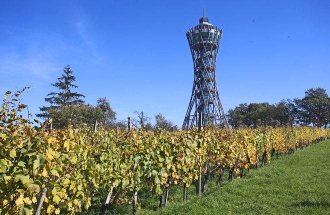 Stolp Vinarium, Lendava. FOTO: Tadej Regent, Delo