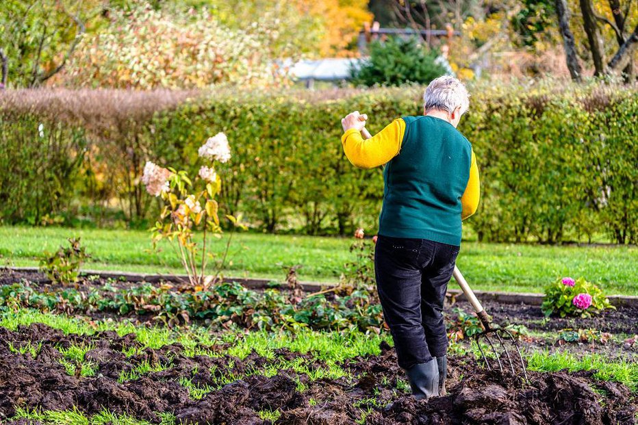 Fotografija: Celo raziskave so pokazale, da so vrtičkarski vrtovi pregnojeni. FOTO: Shutterstock