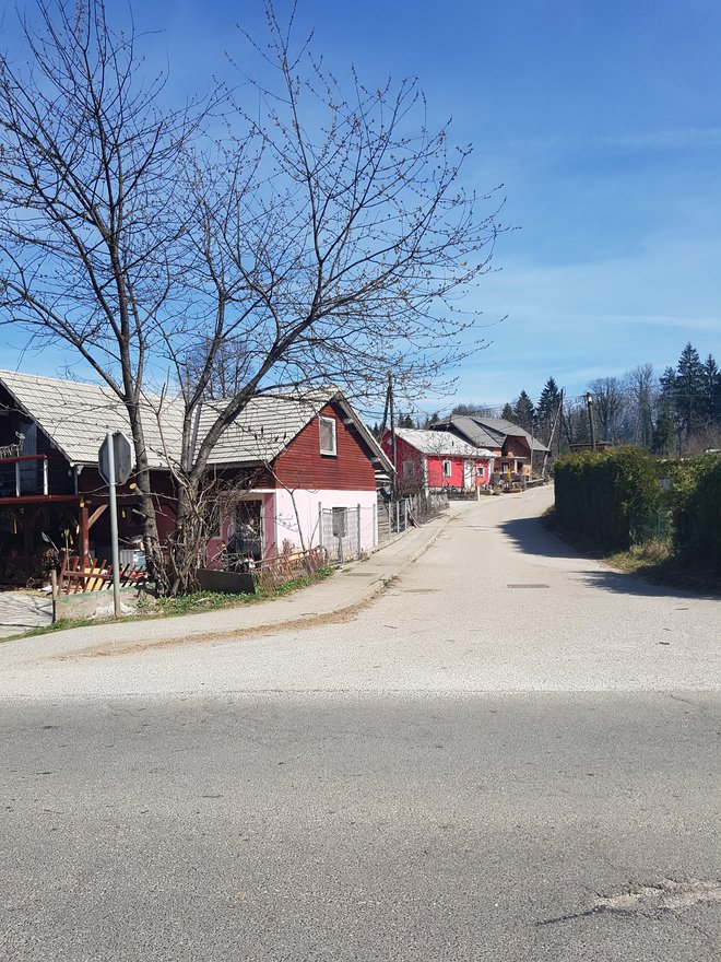 Obe družini naj bi živeli v romskem naselju Lokve pri Črnomlju. FOTO: Bojan Rajšek