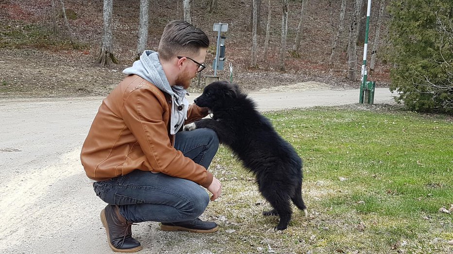 Fotografija: Za teden dni bo morala v zavetišče, potem pa se bo vrnila k Žigi. FOTO: Tanja Jakše Gazvoda