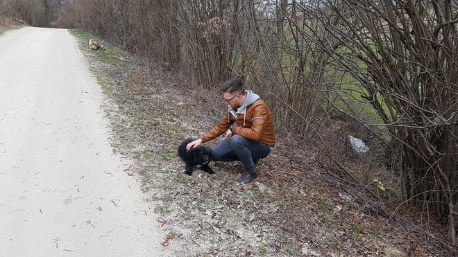 Pika se vedno znova vrača na kraj, kjer je poginila njena mama. FOTO: Tanja Jakše Gazvoda