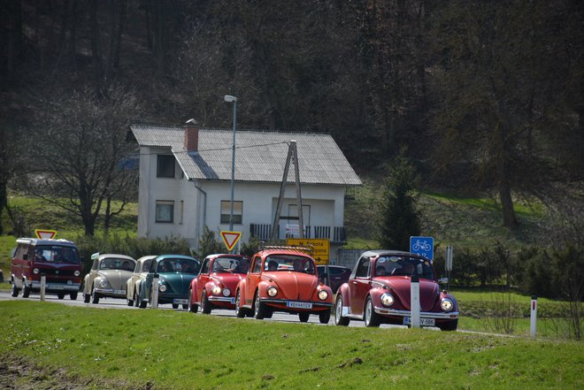 Hroščem so se pridružili legendarni Volkswagnovi kombiji. FOTO: Oste Bakal