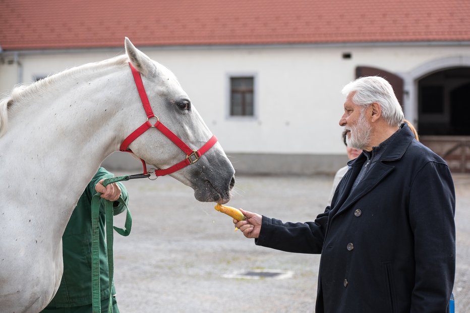 Fotografija: FOTO: Vld Rotar