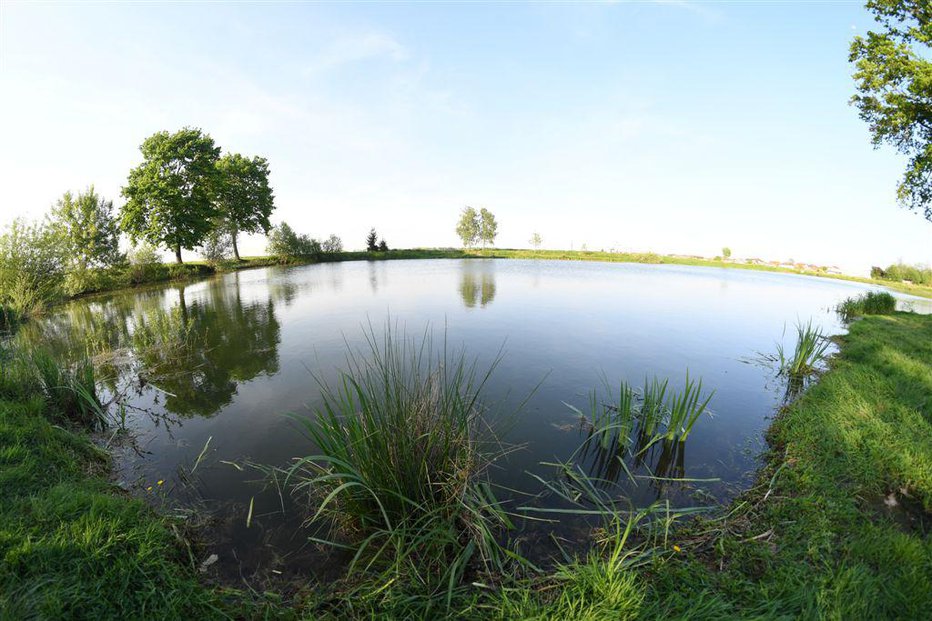 Fotografija: Gramoznica v Odrancih je priljubljeno zbirališče ljubiteljev narave. FOTO: Aleš Cipot