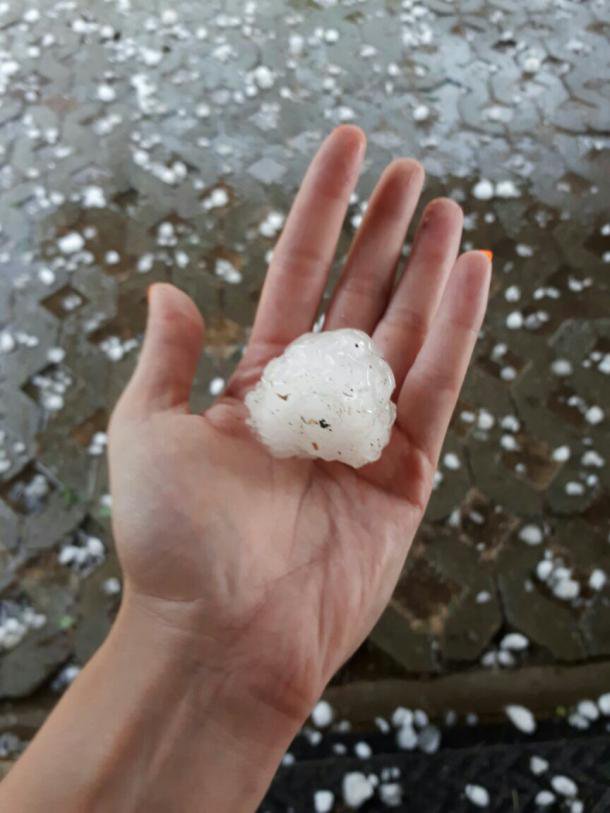 Fotografija: Toča je povzročila precej škode tudi na kmetijskih površinah. FOTO: S. N.