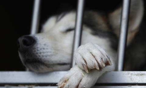 Fotografija: Simbolična fotografija. FOTO: Reuters