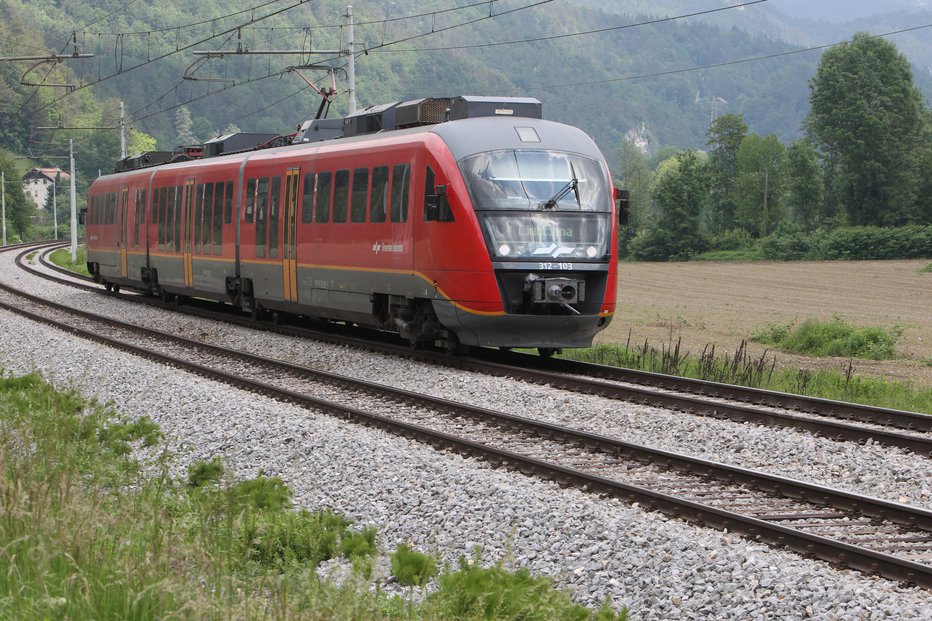 Fotografija: Potniški vlak Ljubljana–Dobova je v petek popoldne zmrcvaril štiri telice. FOTO: Igor Modic