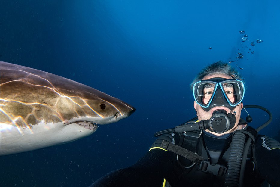 Fotografija: Divje živali niso tako prijazne kot tiste, ki jih srečate v živalskem vrtu. FOTO: Shutterstock