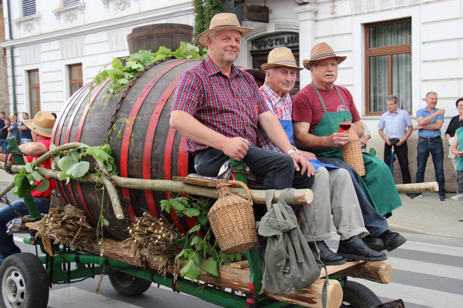 Fotografija: Minili so časi takšnega prevoza vina. FOTO: Tanja Jakše Gazvoda