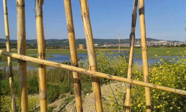 Fotografija: Nesreča se je zgodila v Škocjanskem zatoku. FOTO: Facebook Škocjanski zatok