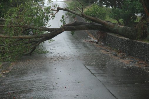 Fotografija: Fotografija je simbolična. FOTO: Getty Images, Istockphoto