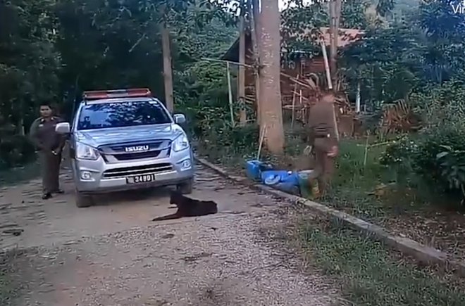 Policija išče dokaze na posesti pokojnika. FOTOgrafije: Youtube/viral