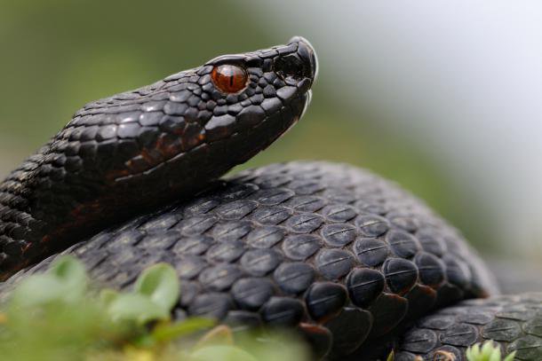 Fotografija: Fotogrfaija je simbolična. FOTO: Shutterstock