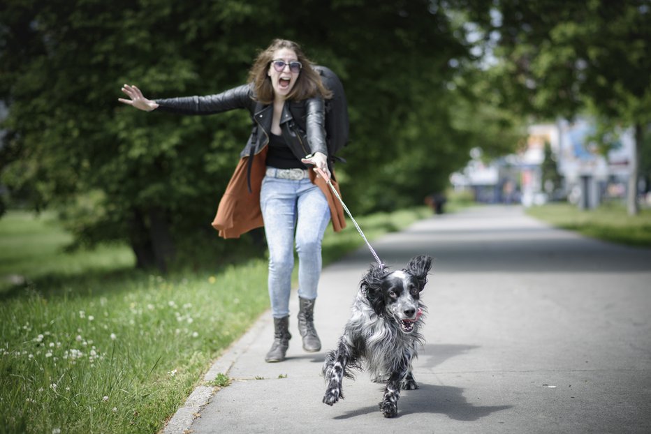 Fotografija: Ste kdaj doživeli, da vas je pes potegnil in vas je še ves dan bolela roka? FOTO: Shutterstock