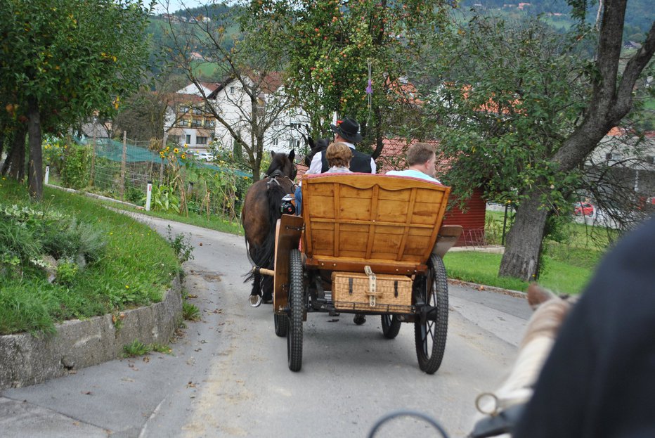 Fotografija: V teh krajih so vprege pogoste na cestah.