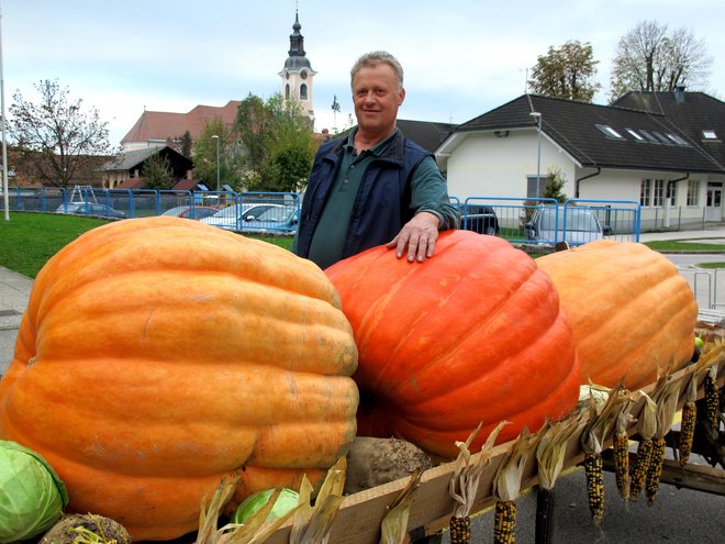 Ciril Grilc s Trate je pripeljal tri buče, najtežja je tehtala 168 kilogramov.