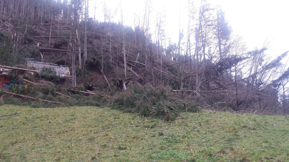 Fotografija: Gasilci PGD Črna na Koroškem so pomagali pri odpravljanju posledic neurja. FOTO: Občina Črna na Koroškem