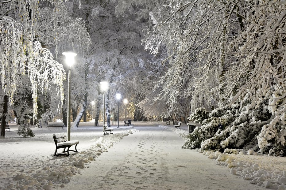 Fotografija: Se veselite prihajajočega snega? FOTO: Getty Images/iStockphoto