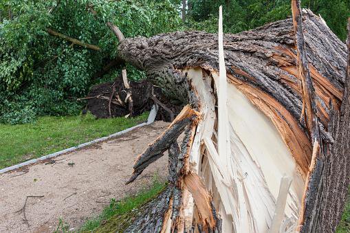 Fotografija: FOTO: Getty Images, Istockphoto