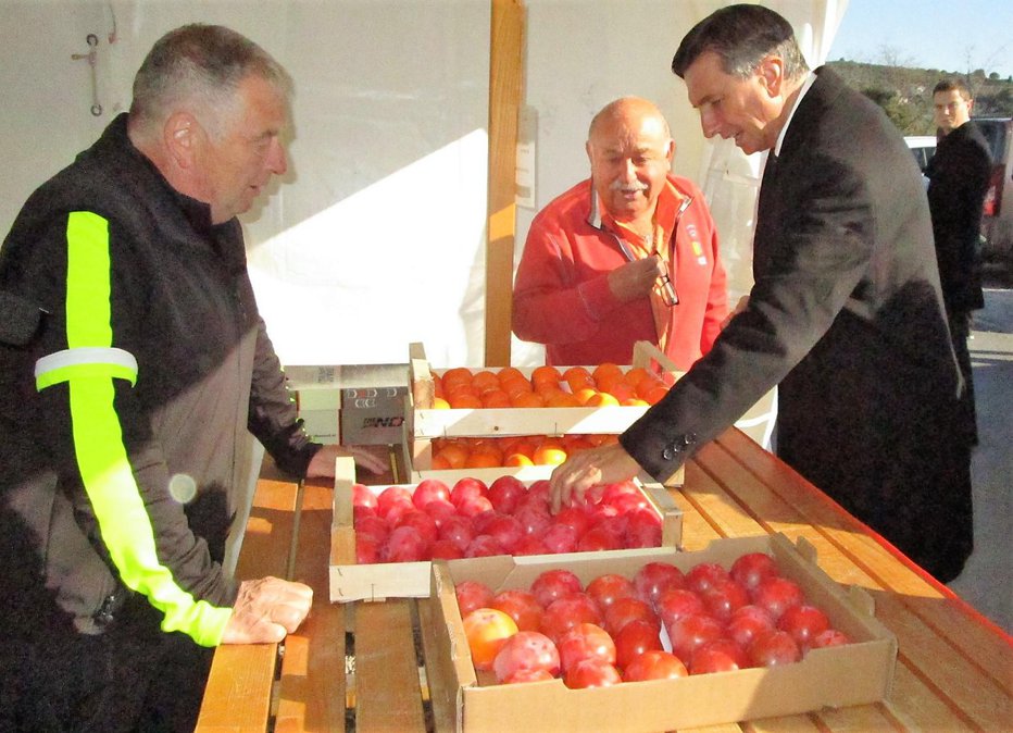 Fotografija: Tudi predsednik Borut Pahor iz Strunjana ni odšel brez gajbice kakijev. FOTOGRAFIJE: Janez Mužič