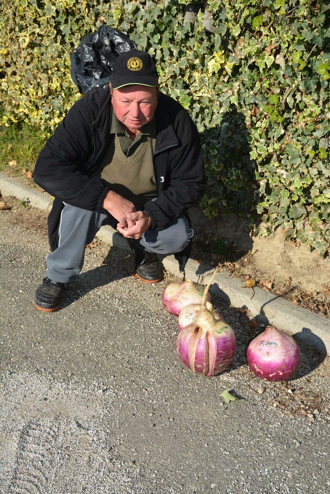 Z njo se bodo mastili domači prašiči, nekaj pa je bo romalo na krožnik. FOTOGRAFIJI: Oste Bakal