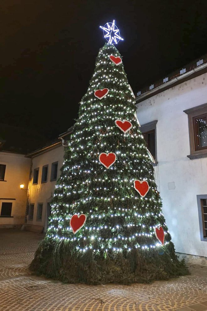 Tudi smreko so okrasili s srci. FOTOGRAFIJE: SABINA ŠEGULA