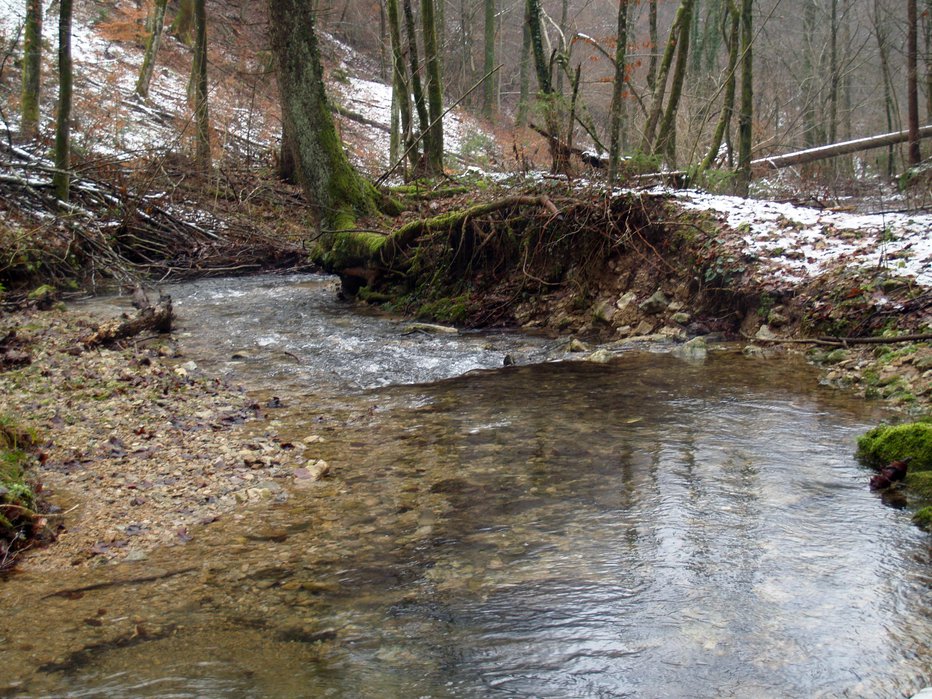 Fotografija: Mrtvo osebo so našli v potoku. Fotografija je simbolična. 