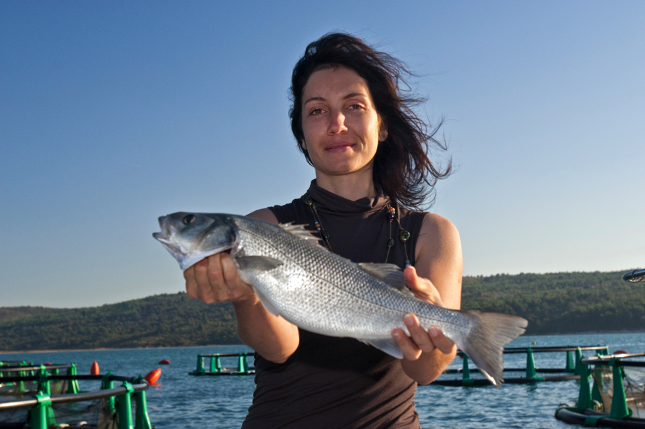 Fotografija: Trenutno je le manjši del gojenih rib res kvalitetnih, se pa razmere izboljšujejo. V naši družini smo sami biologi in prav zmanjšanje števila divjih rib je bil eden glavnih povodov za nastanek ribogojnice. FOTO: Osebni arhiv