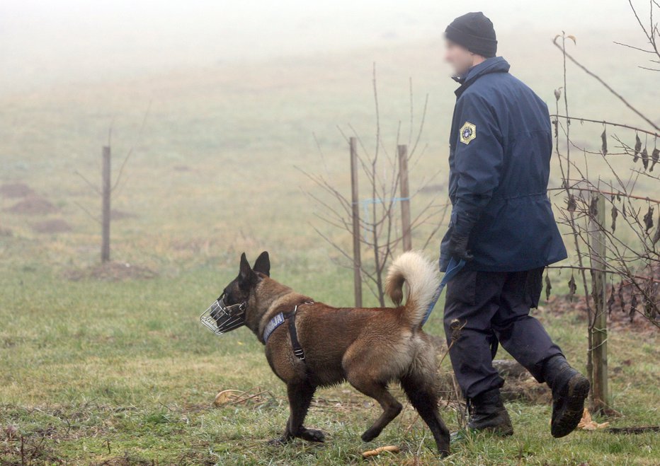 Fotografija: Simbolična fotografija. FOTO: Marko Feist