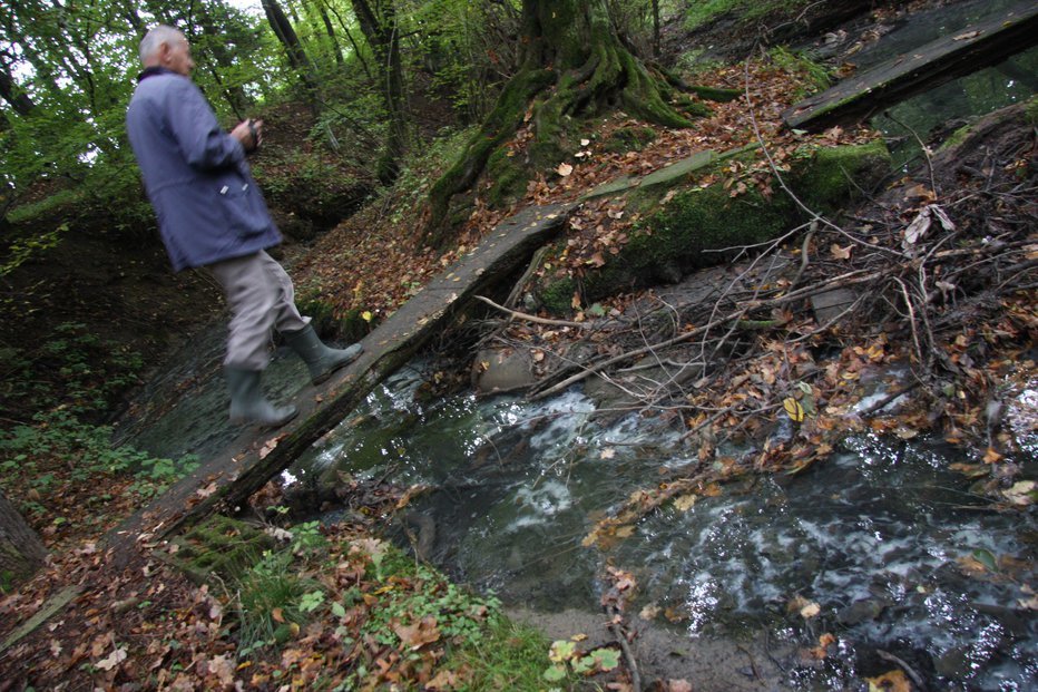 Fotografija: Potoček, ki teče okoli Laz, je enkrat siv, drugič zelen. Pred sedmimi leti so se, kot kaže fotografija, po njem valili sivkasti mresti umazanije. FOTO: Špela Ankele