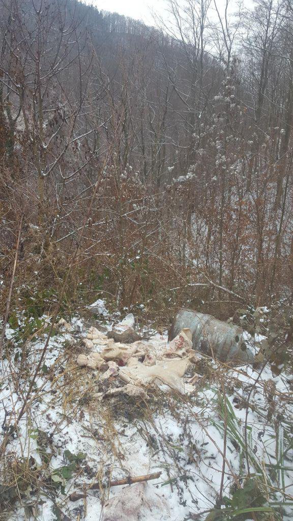 Takole ležijo živalski odpadki kar ob poti proti Grilovi kapeli v Cerovcu pod Bočem. FOTO: S. N.