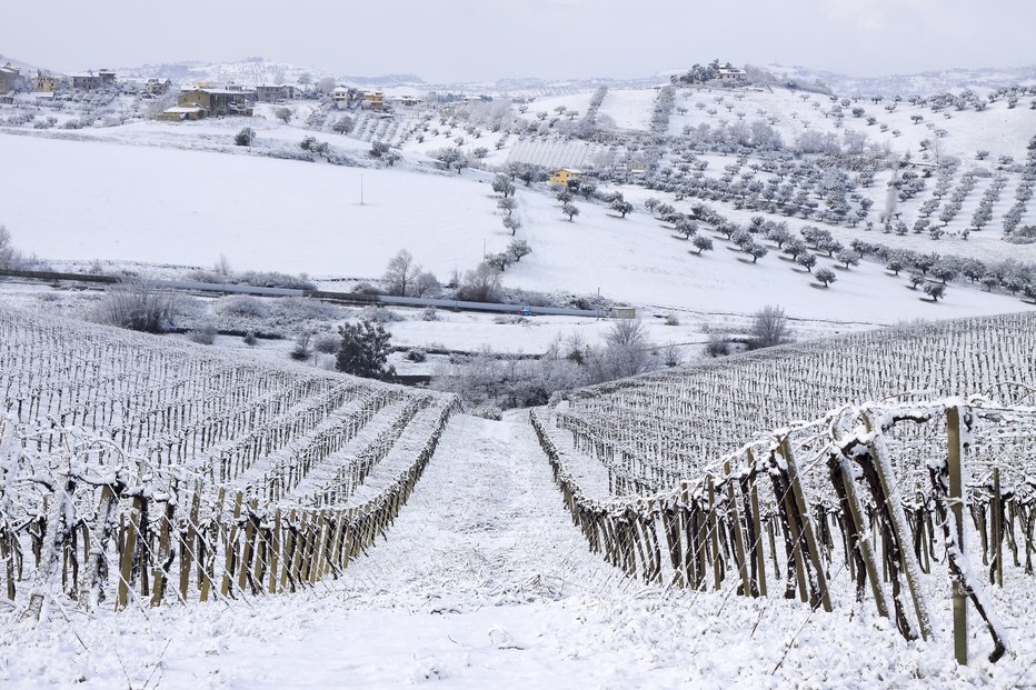 Fotografija: FOTO: Guliver/Getty Images