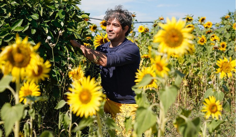 Fotografija: Airbnb in lokalna skupnost vasi Grottole na jugu Italije, vabita ljudi z vsega sveta v svoje vrste. Promo Foto