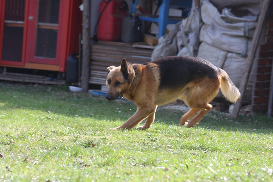 Fotografija: Fotografija je simbolična. FOTO: Špela Ankele, Delo