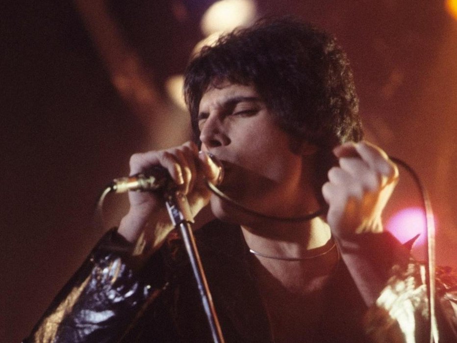 Fotografija: Freddie Mercury je baje imel v svoji vili v Londonu okoli 10 mačk. Eni je posvetil pesem, drugim pa cele albume. FOTO: Wikimedia Commons