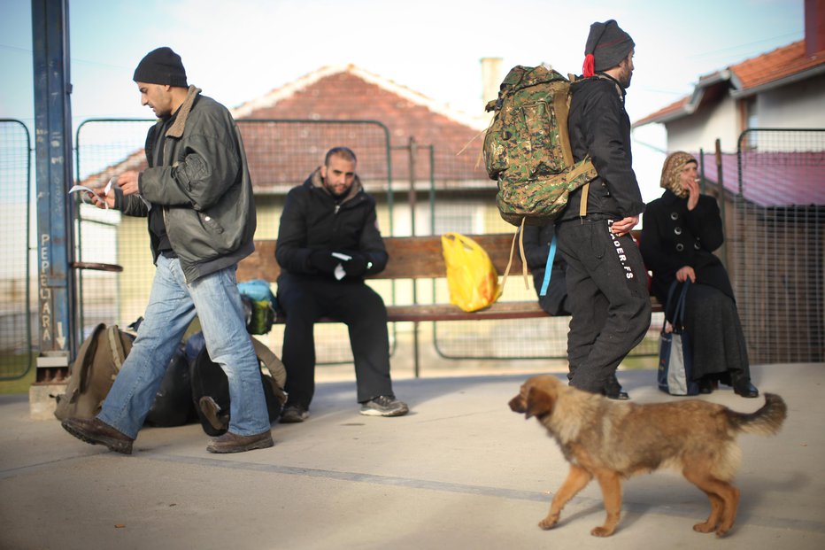 Fotografija: Fotografija je simbolična. FOTO: Jure Eržen, Delo