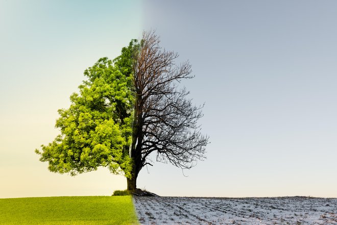 Zime ima marsikdo že dovolj, pomlad trka na vrata. FOTO: Guliver/Getty Images