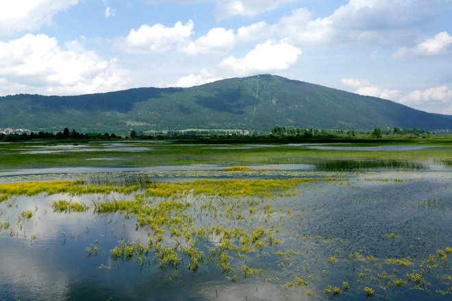 Domačini lepo skrbijo za jezero.