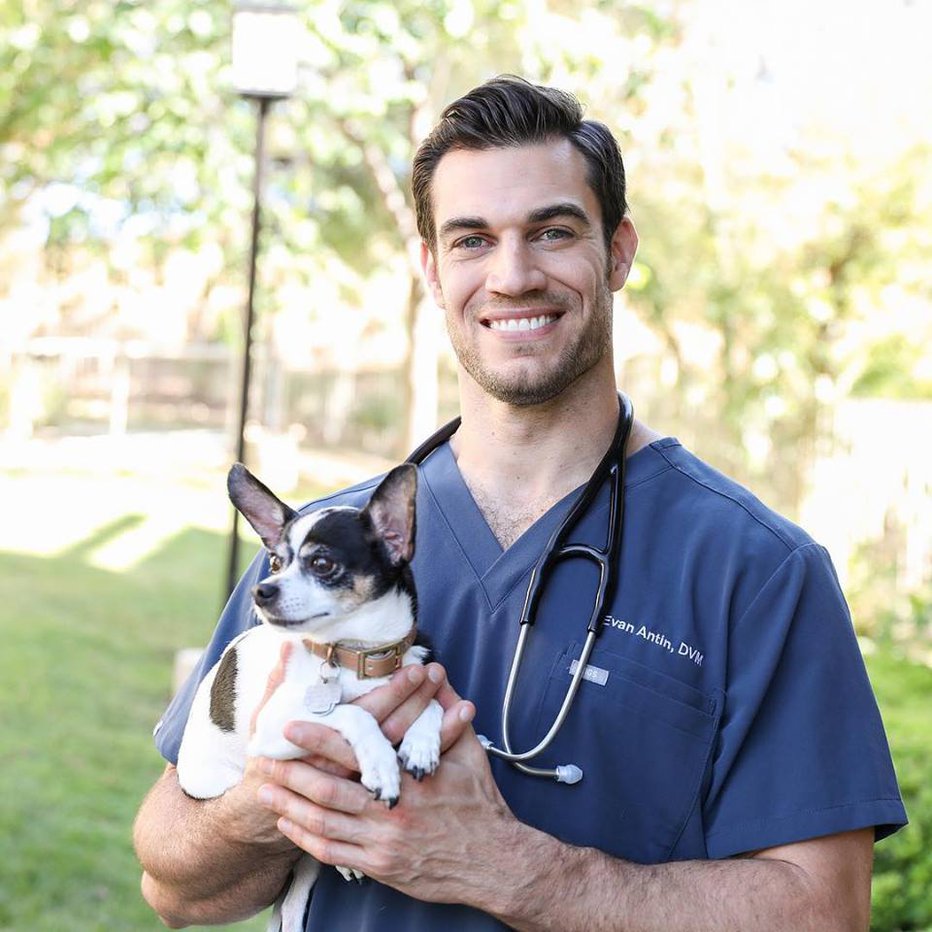 Fotografija: Evan Antin velja za najbolj seksi veterinarja na svetu. FOTO: Facebook, Happy Pet