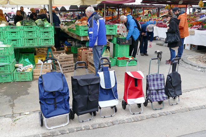 Nakupovalni vozički proti plastičnim vrečkam