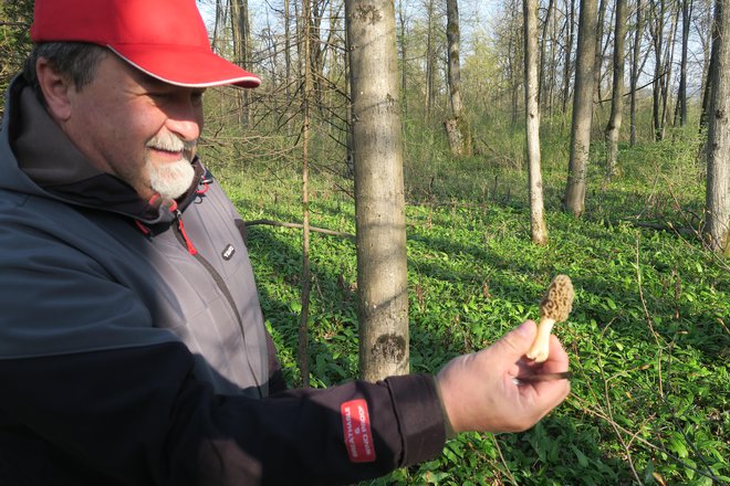 Jože Horvat s spomladanskim lepotcem